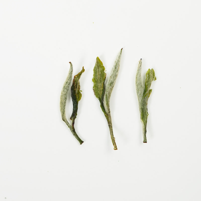 Yunling Silver Needle | Fragrant and Nourishing