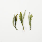 Yunling Silver Needle | Fragrant and Nourishing