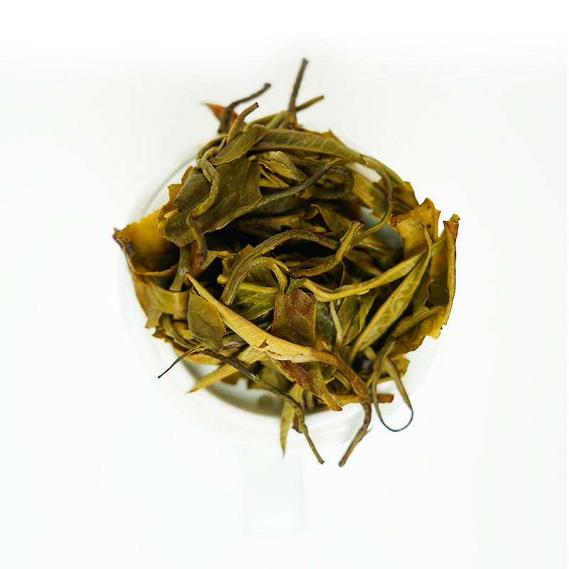 Organic Standard Lvmaofeng | 1200m Alpine Mingqian Tea | Refreshing, sweet, and pleasant flavor | 2025 Spring Limited Edition | Certified Organic Green Tea