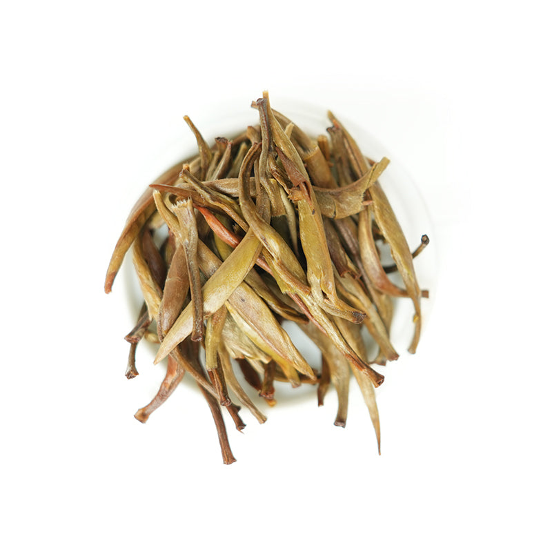 European Standard Silver Needle | Alpine Rare Buds