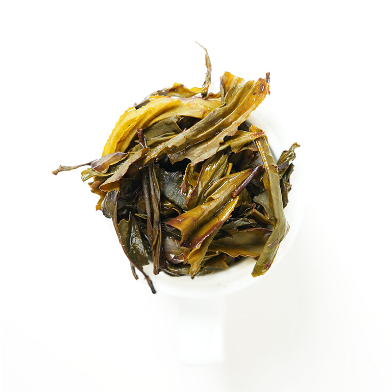 Yunling Dancong | Mountain Charm Nourishes the Mind