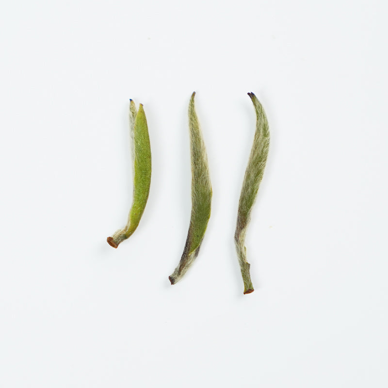 Nine-Character Silver Needle | Clear and Nourishing Skin