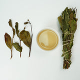 Harvested in the first spring of 2024, the tea is made from century-old fir trees. The tea has a rich, milky flavor, a deep rock rhyme, and a natural fir fragrance and mineral aroma.