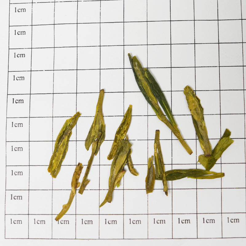 🍃｜2025 Qingqian European Standard Organic Certified Longjing Tea·Spring Tea First Picking｜Traditional Hand-roasted·Fresh and Sweet｜Zero Pesticide Original Leaf Green Tea｜Natural Bean Fragrance and Orchid Flavor
