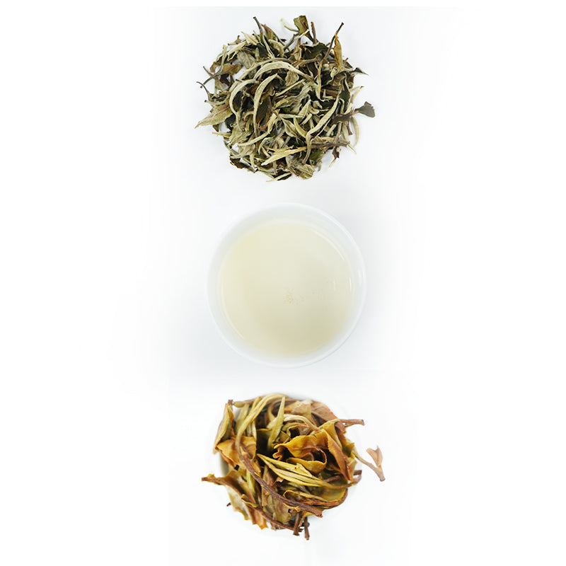 National Standard Moonlight White | Orchid Charm Nourishes the Heart