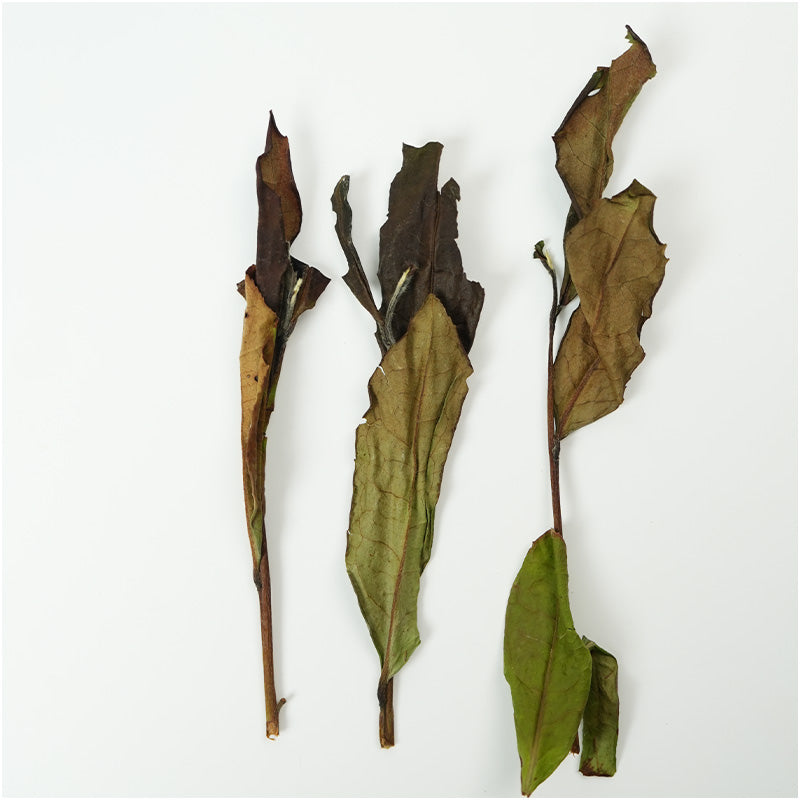 Chunshou · Mingqian Premium Eyebrow Tea | Traditional Craftsmanship, Sweet and Long-Lasting, Perfect for Personal Drinking or Collecting