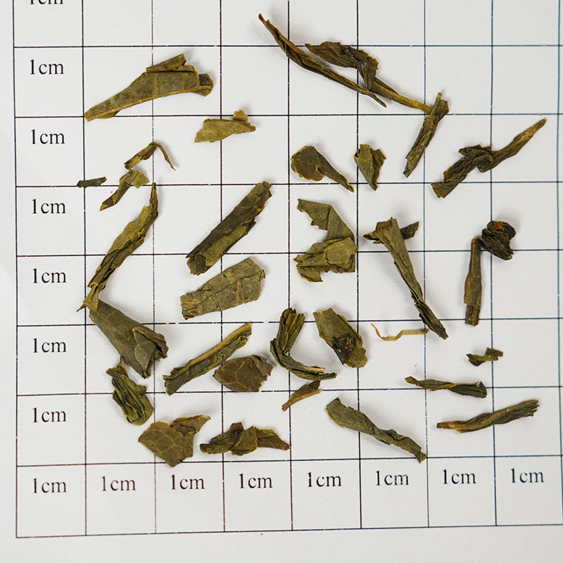 Organic Sencha | Fresh, refreshing and sweet