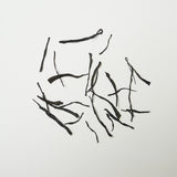 Organic Yunnan Small-Leaf Dianhong Tea - Hand-Picked, Honey Orchid Aroma, Smoky Sweet, Wholesale Order