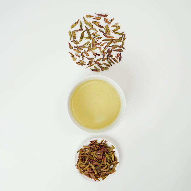 Wild Purple Buds | Plum Blossom Melody in Three Layers