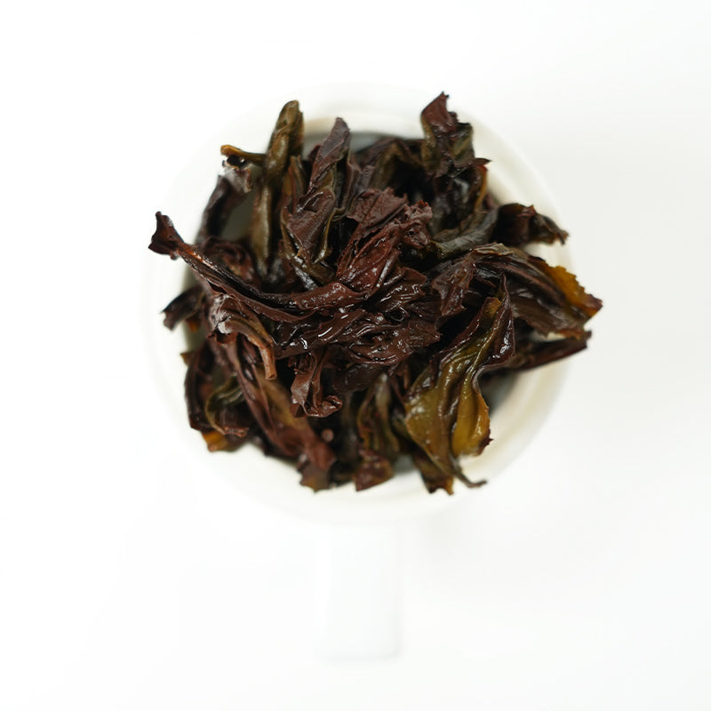 🌿【Centennial Fir Rhyme】European Standard·Alpine Organic Wu Sandi Lao Teng｜Wuyi Mountain Nature Reserve｜Centennial Tree Age·Bamboo Rhyme Moss Scent｜2024 Spring