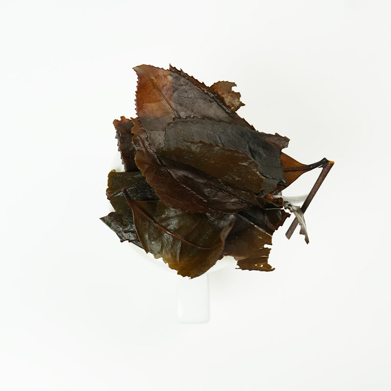 Milky Broom | Sweet and Nourishing