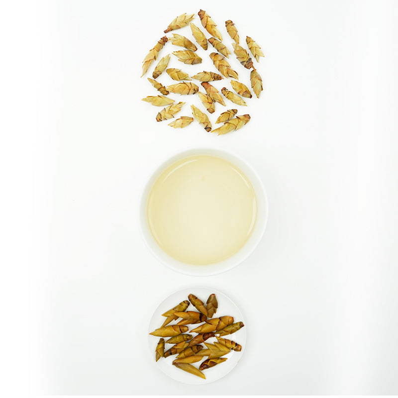 Wild Sprouts in a Secret Realm | Snow Bud Nourishing Essence