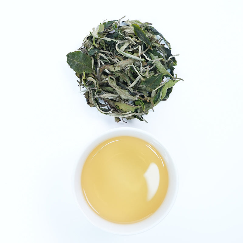 High Mountain Organic White Peony Tea - Honey Floral Aroma, Sun-Dried, Hand-Picked Spring Buds, Wholesale Available