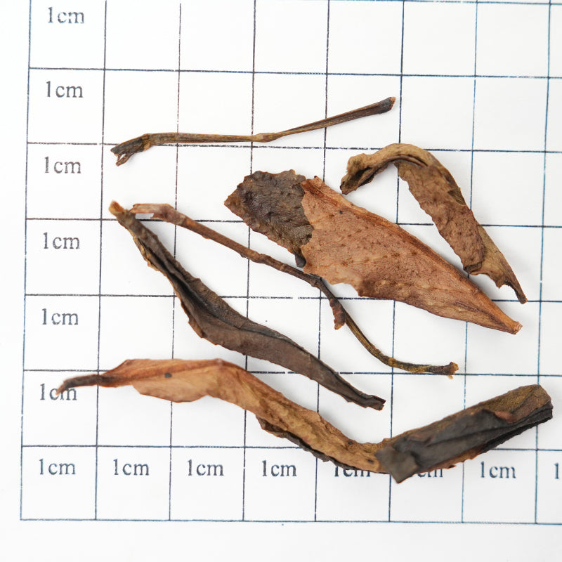 "Hidden Champion" in the Milk Tea Industry | Luzhou-Aroma Yashixiang Dancong Tea | Highly Floral Aroma, Smooth Taste | Customized Tea Base for Professional Milk Tea | 2025 Spring Tea