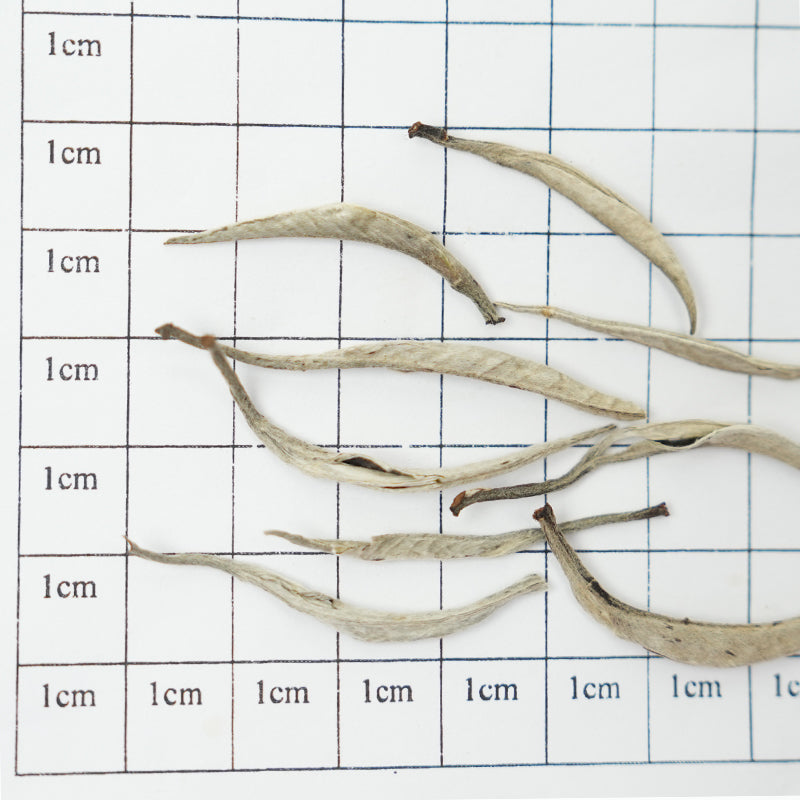 Centennial Silver Needle | Three Rhymes of Time