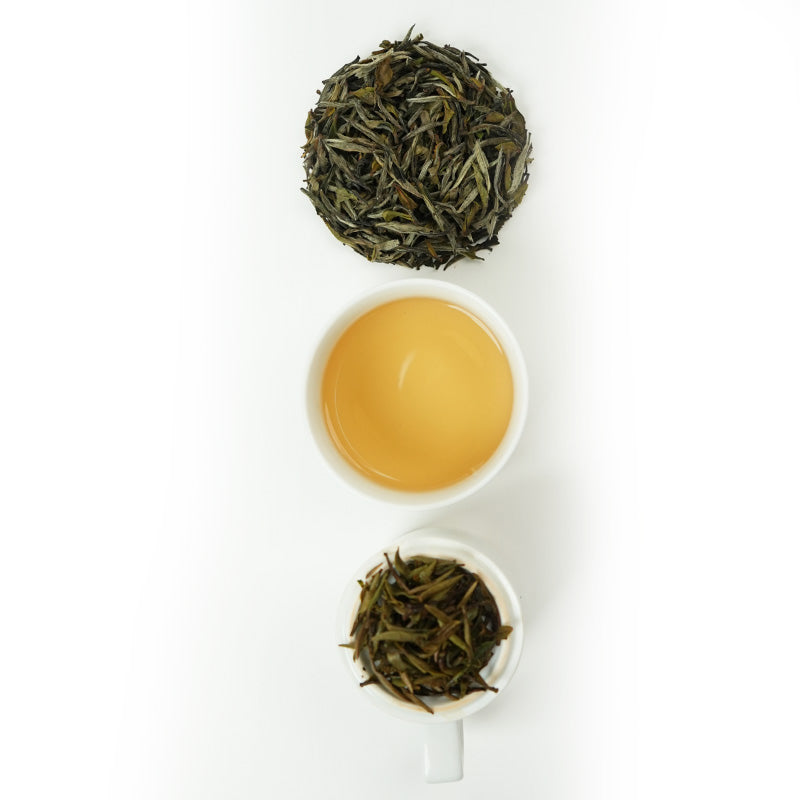 Four-Year Aged White Tea (2021) | Smooth and Sweet | Organic Pressed