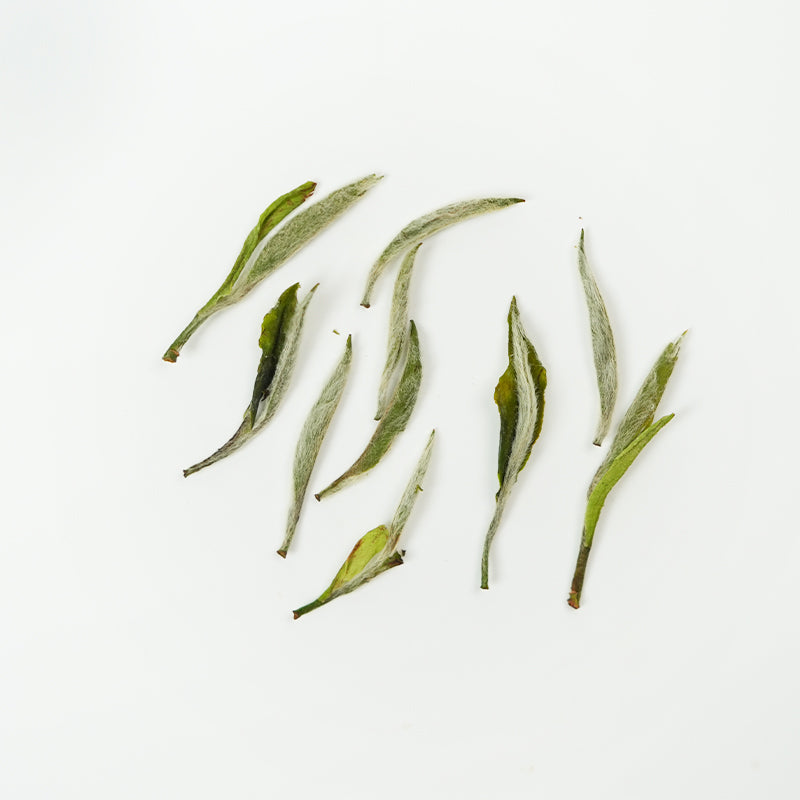 Three-Ingredient Silver Needle Tea | Fresh and Nourishing