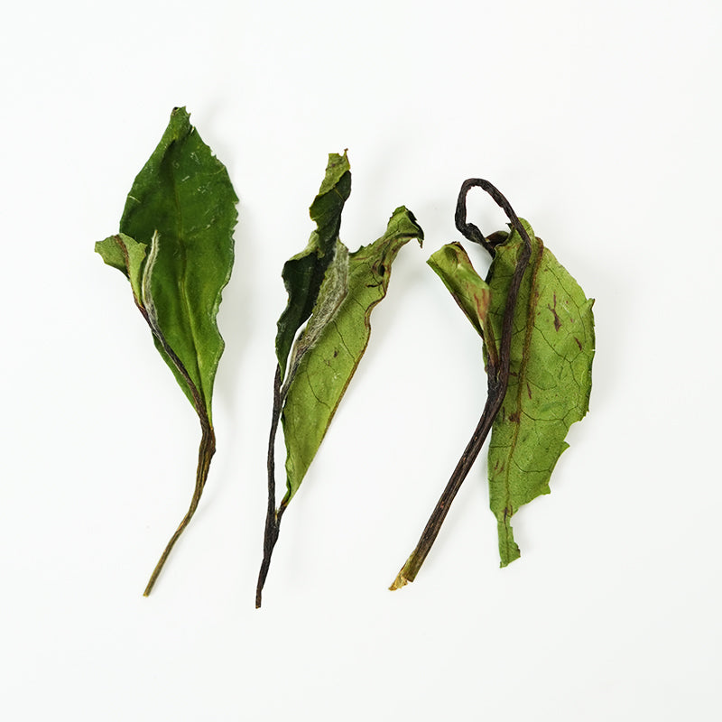 Organic Zhenghe Spring Shoumei White Tea - Originated in Fujian, Hand-picked Spring Buds and Leaves, Sun-Withered, Honey and Wood Fragrance, Wholesale