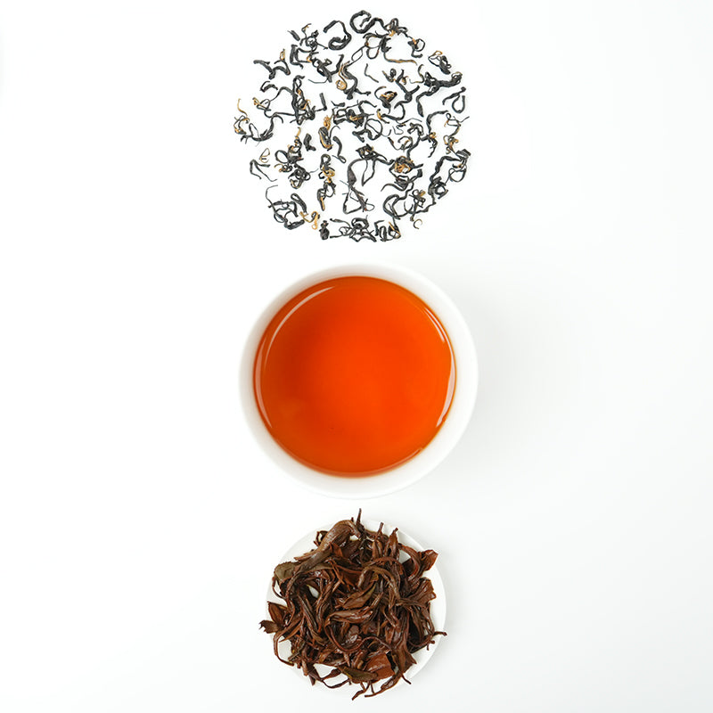 Paulownia Golden Horse Eyebrow | Honey-scented Orchid