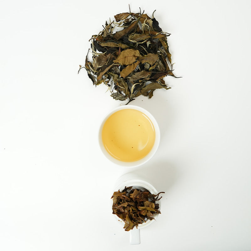 Fuding Gongmei Eyebrows | Three Years of Nourishing and Moisturizing