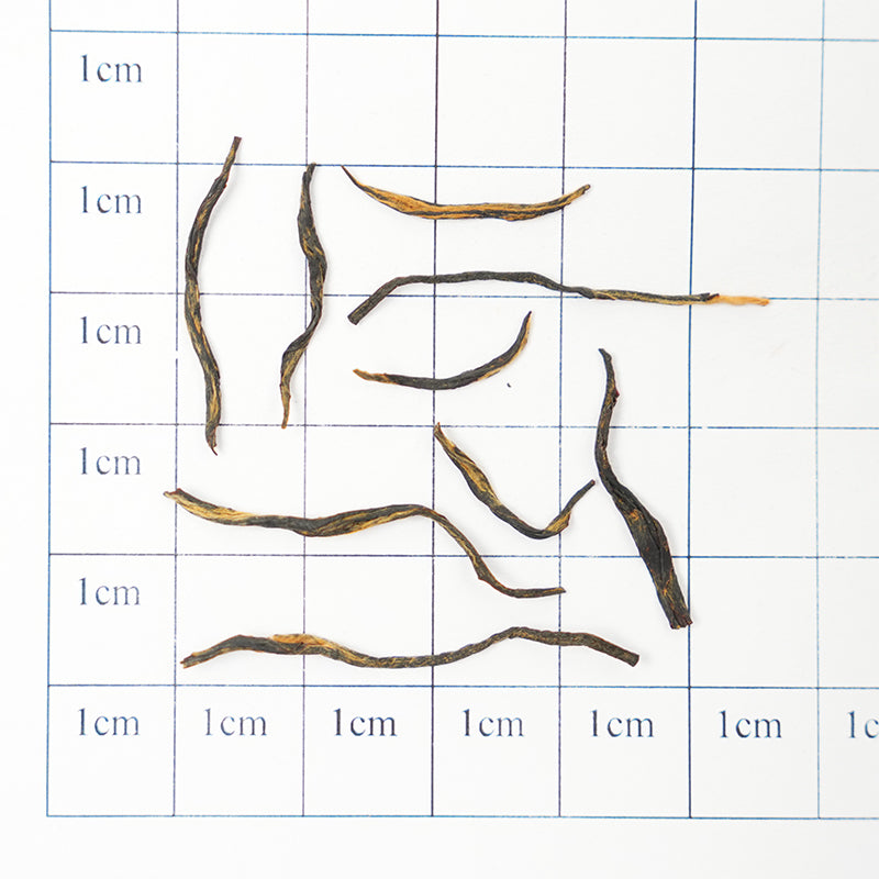 National Standard Jin Jun Mei | Honey-like Sweetness