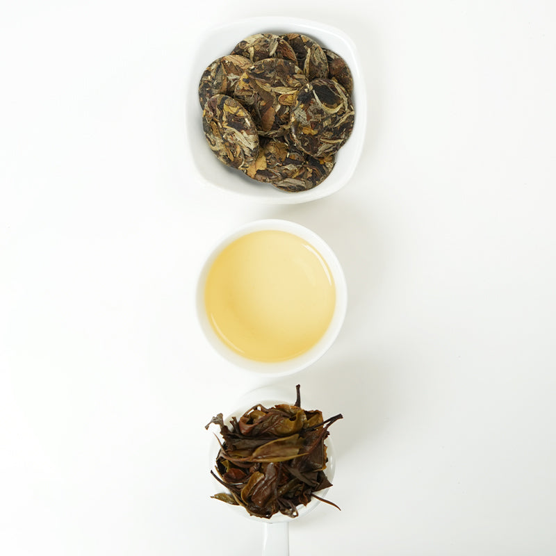 European Standard White Peony | Sweet and Refreshing Charm