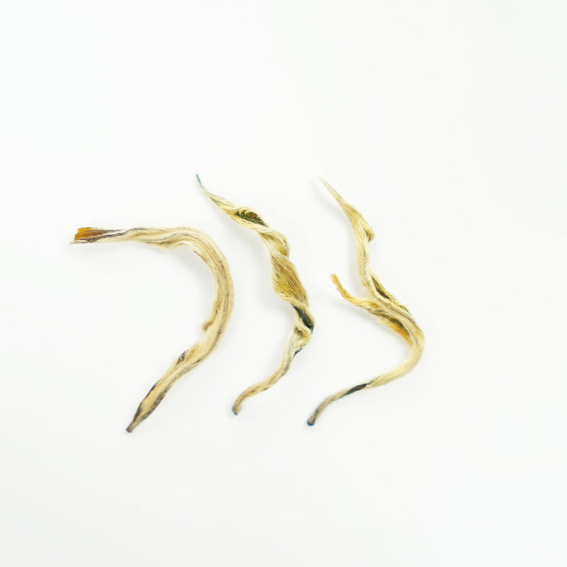 🌿 Organic Single Bud Yuhua Cloud Silk Green Tea | Whole Buds Before the Qingming Festival | Hand-rolled, Cloud-Shaped | Fragrant and Sweet | Limited Edition Handmade | Organically Grown