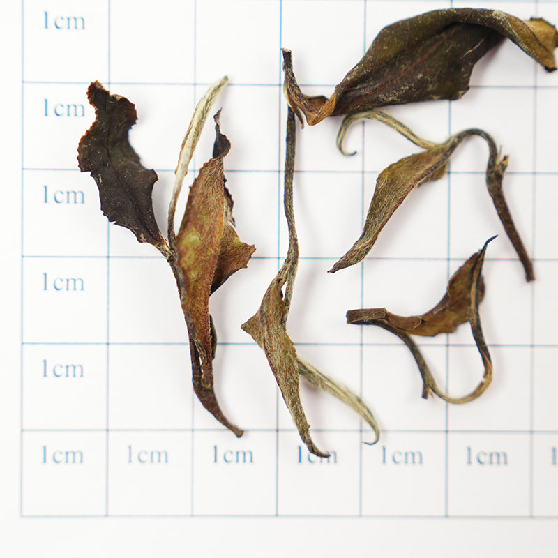 Organic Dongmeiren | Honey-smooth and Refined