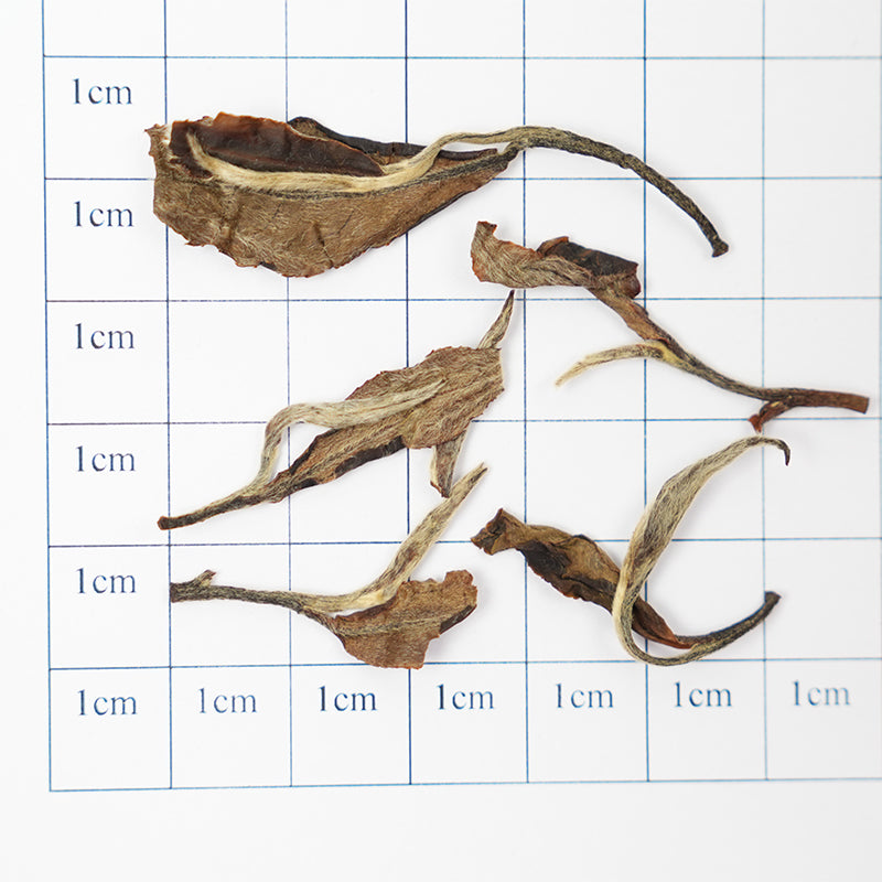 Chen Yun San Die | Zhenghe Laobai