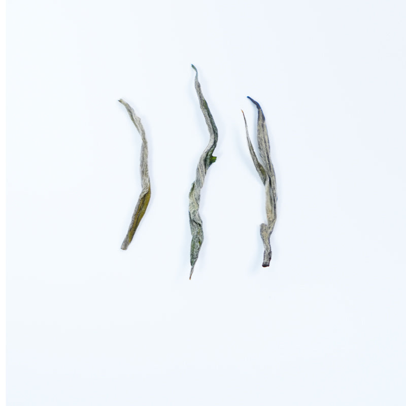 "Green Butterfly Blooms in Water" | Premium Lvmaofeng Green Tea | Huangshan Mingqian Tea | Hand-rolled, Softens in Water | 2025 First Harvest Spring Tea Limited Edition