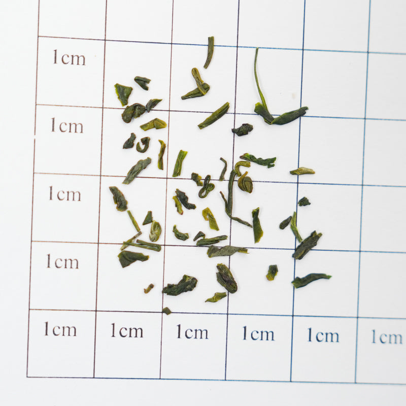 ⛰️[Peak Gyokuro Granular Concentrate] Organic Gyokuro Granular Tea from 1386 meters above sea level | EU Organic Certified | Concentrated mountain mist essence in one mouthful | Fresh, mellow and refreshing | Dissolves instantly hot or cold