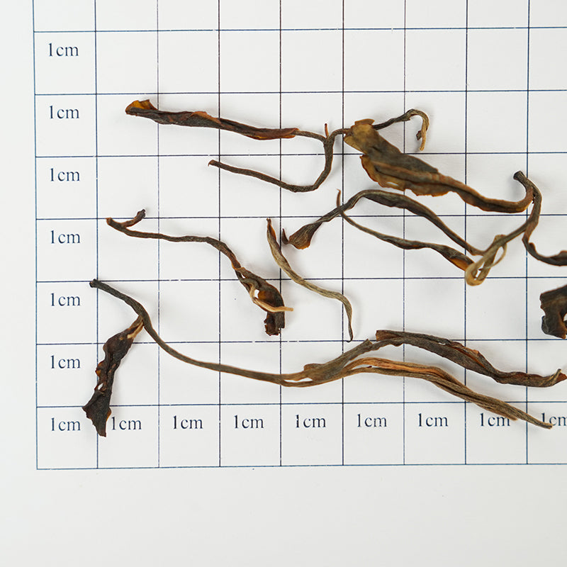 Organic Raw Pu'er | 2019 Aged Tea | Yunnan Ancient Tree Spring Tea | Honey-infused and floral aromas with a vibrant taste | Certified Organic | Ideal for both collection and drinking