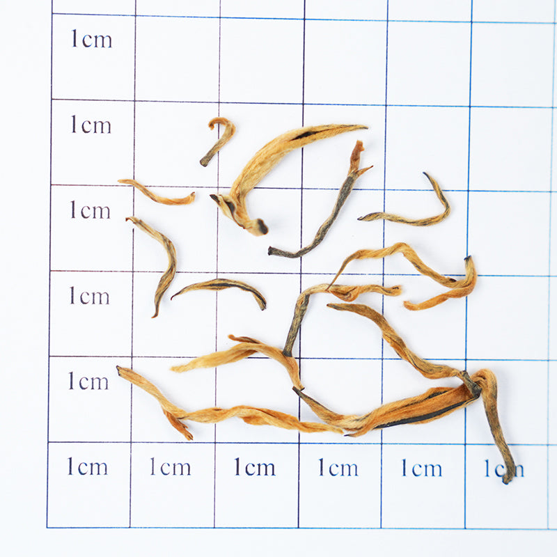 European Standard Golden Red | Golden Fruit Flavor