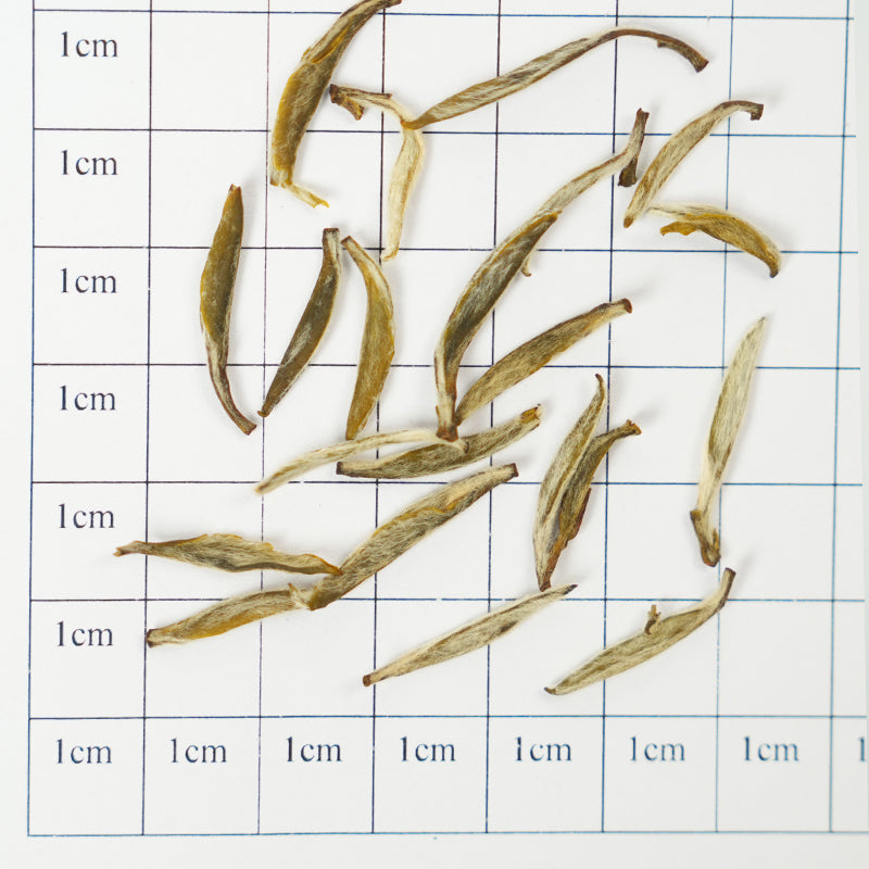 Intangible Cultural Heritage Craftsmanship & Gold Award Honors | High Mountain Organic Jasmine Silver Needle Tea | Traditional Six Fragrance Tea & Imperial Rock Sugar Sweetness | Organic Certification | First-Harvest Limited Edition