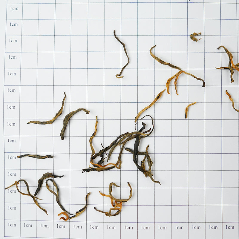 European Standard Golden Monkey | Honey Fruit Essence