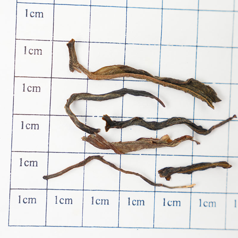 Organic Jingmai Pu'er Tea | Sweet and Refreshing Taste