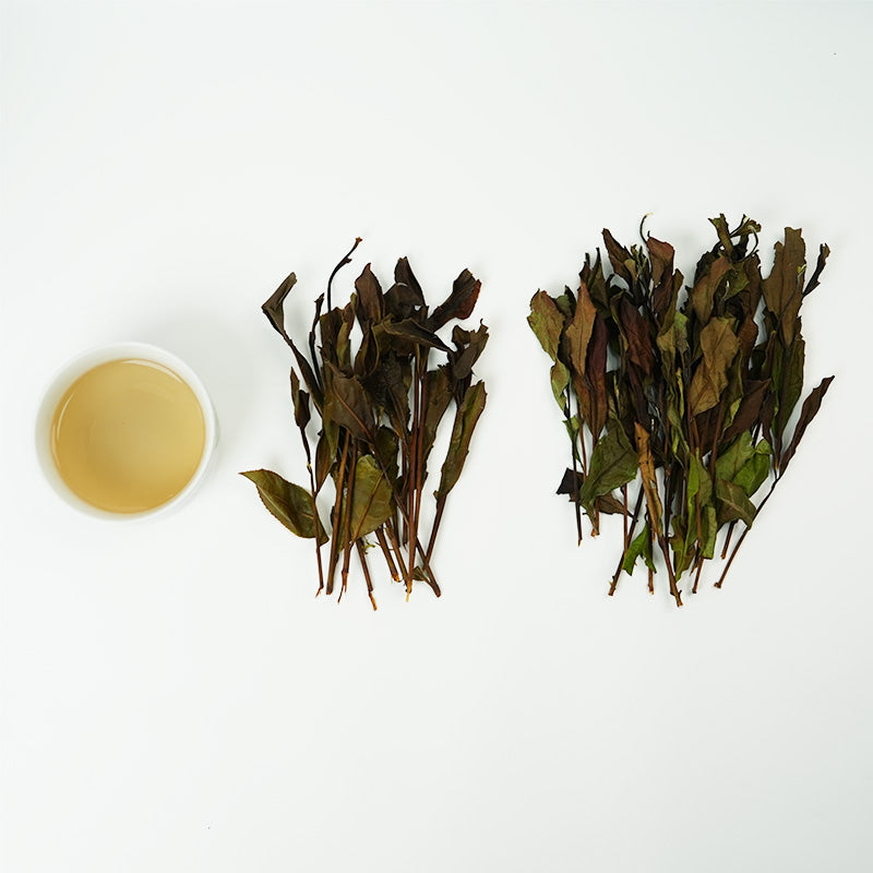 Chunshou · Mingqian Premium Eyebrow Tea | Traditional Craftsmanship, Sweet and Long-Lasting, Perfect for Personal Drinking or Collecting