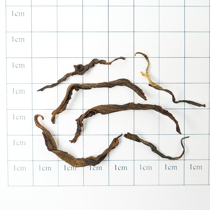 Organic Yinghong | Honey-like Sweetness