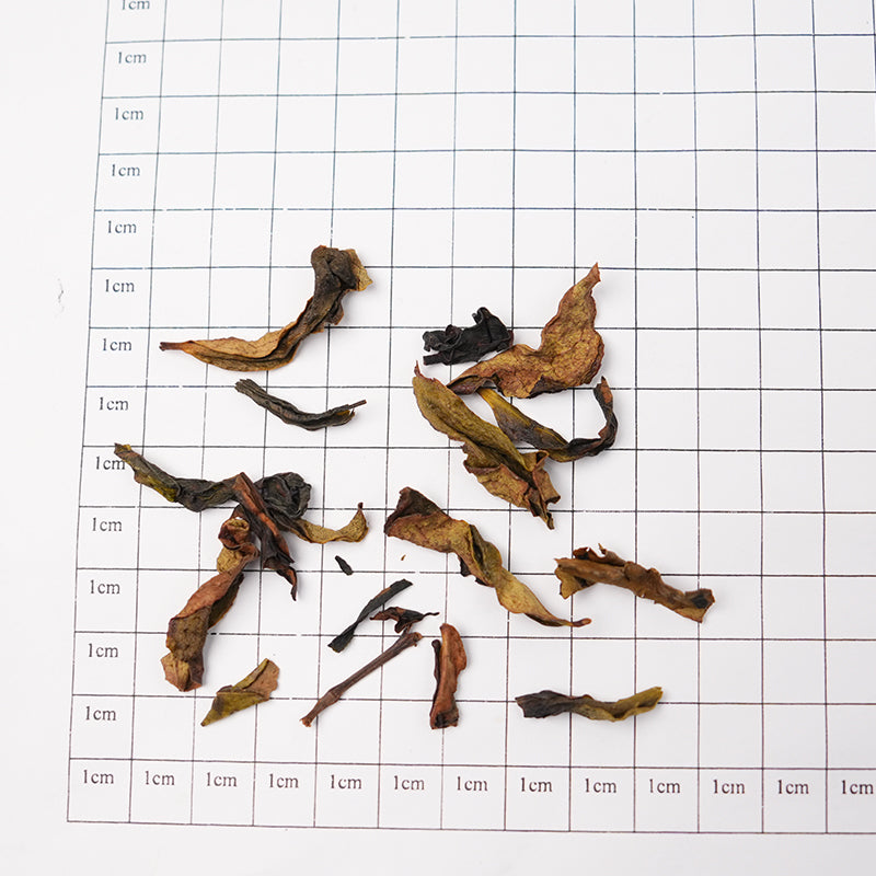 "Foul in name, fragrant in reality, stunning on the tongue" | Organic Duck Shit Fragrance Dancong Tea | Floral and honey-like fragrance | 2025 Spring Tea | Organically grown