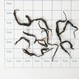[European Standard Certified] Jinxuan Black Tea | Hand-picked in the mountains during the first spring, with a delicate honey aroma and a rich, lingering sweetness.