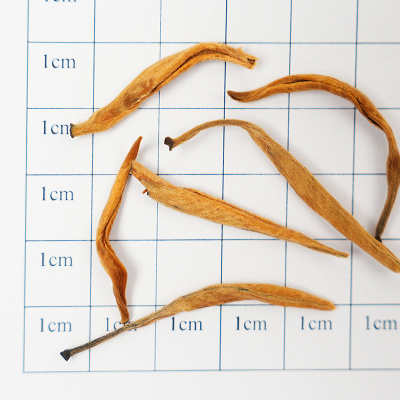 National Standard Yunnan Black Tea | Golden Bud Mellow Taste