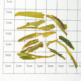🌱 Organic Longjing Tea | 2025 Mingqian Premium Spring Tea | Traditional Hand-Roasted | Fresh and Sweet | Natural Bean Fragrance | Pesticide-Free Green Tea