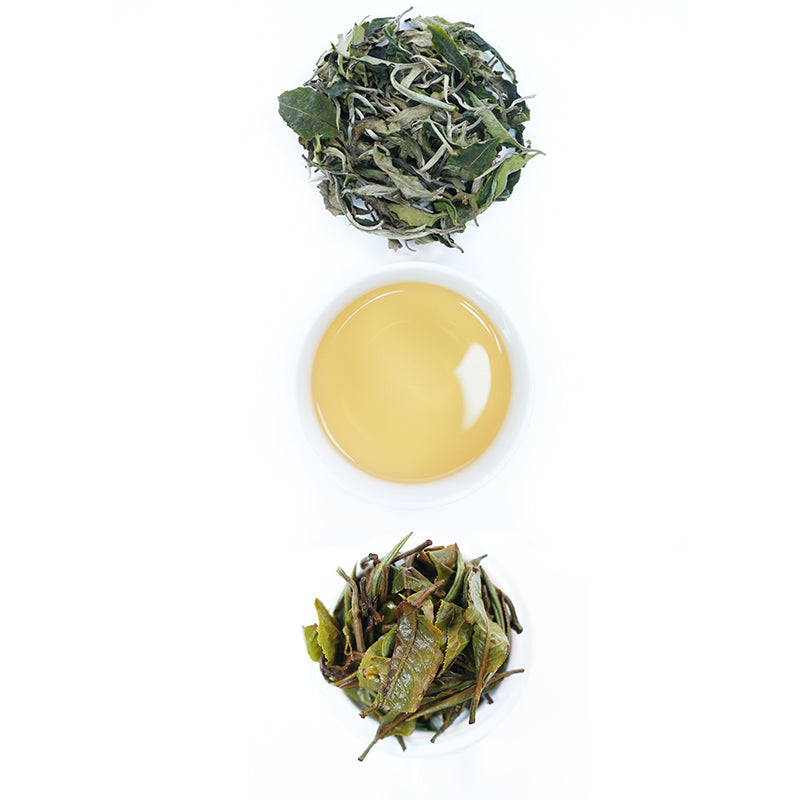 High Mountain Organic White Peony Tea - Honey Floral Aroma, Sun-Dried, Hand-Picked Spring Buds, Wholesale Available