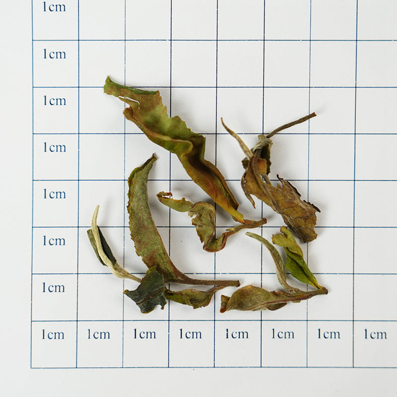 Organic white tea | Sweet and refreshing