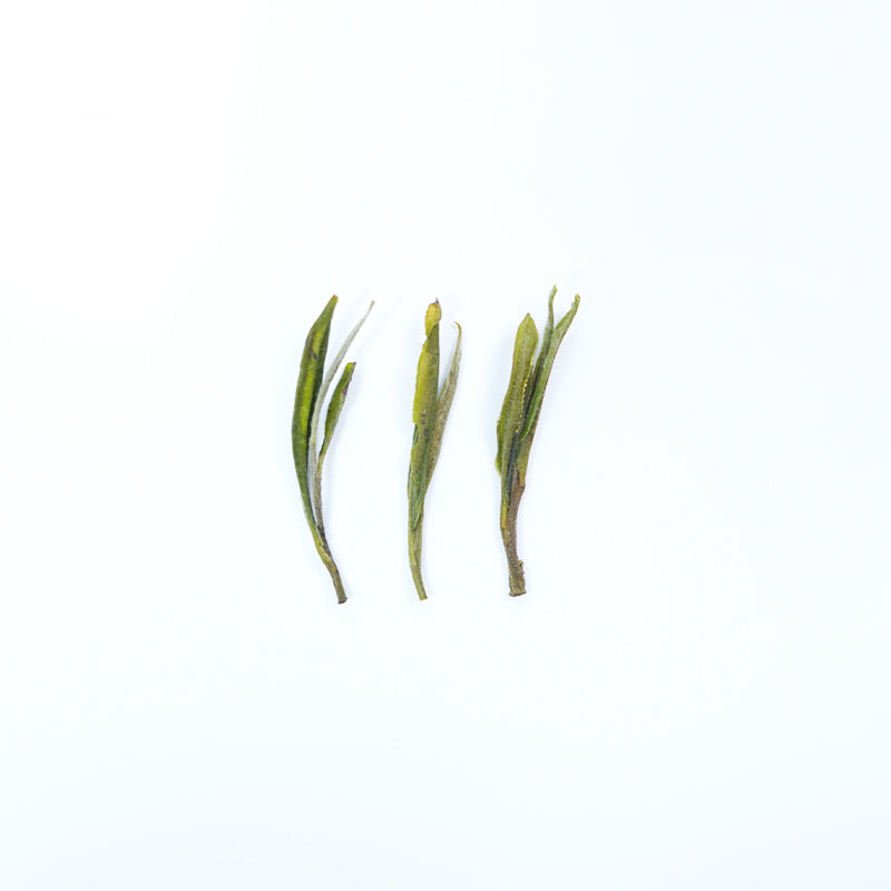 🏔️ Organic Huangshan Maofeng | National Geographical Indication Product | First Harvest Before the Qingming Festival | Traditionally Handcrafted · Orchid Fragrance | 1200m Alpine Cloud Green Tea | Limited Edition