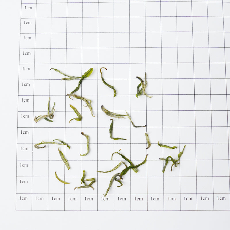 Xiangxi Golden Leaf | Nine-Ingredient Tea for Salivation