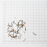 National Standard Jin Jun Mei | Honey-like Sweetness