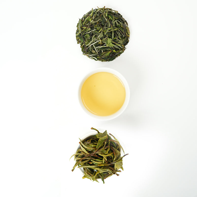 Zhenghe White Peony | Wild Sweetness