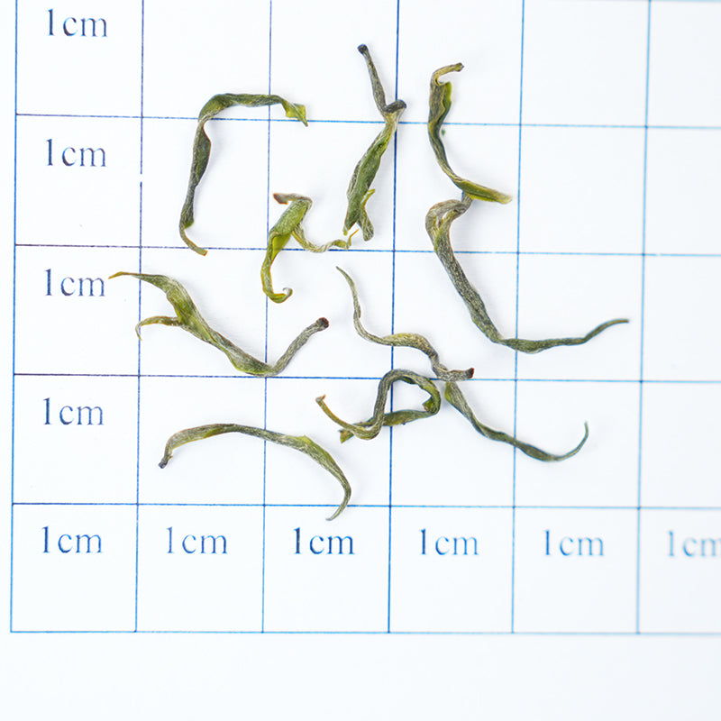 Xiangxi Golden Thread | Jade Chestnut Nourishing Essence