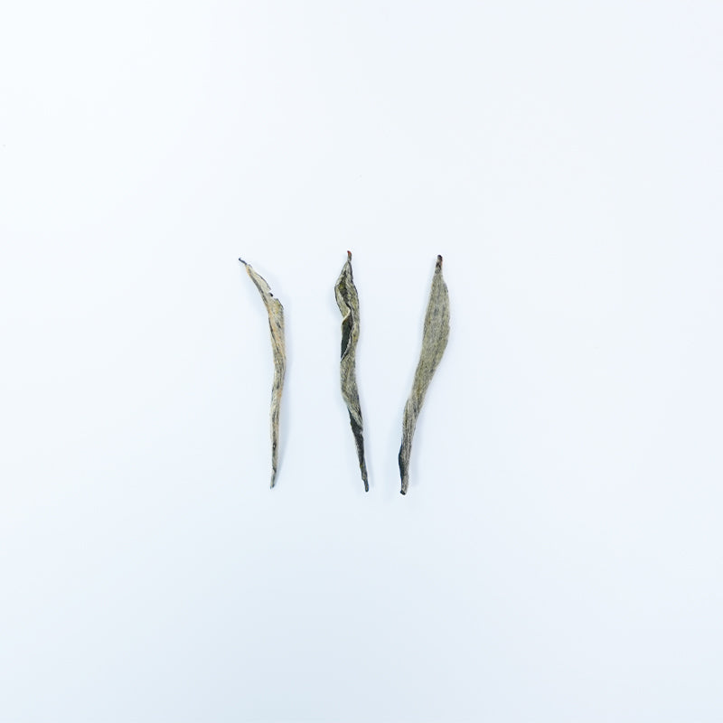 "Fresh as a spring, sweet as honey" | Premium Lvmaofeng Green Tea | Huangshan High Mountain Mingqian Tea | A refreshing experience that will amaze your taste buds | Limited-edition 2025 First Harvest Spring Tea